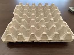 white 30 pack paper egg tray