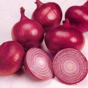 Onion