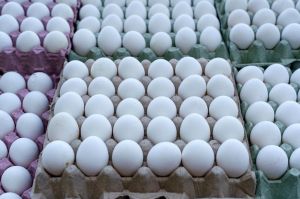 Poultry Eggs, Color : Brown, Packaging Type : Tray