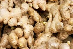 fresh ginger