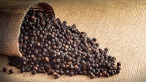 Common Black Pepper, Color : Dark Brown, Grade Standard : Food Grade