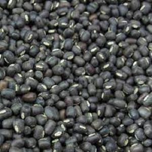 Urad Dal