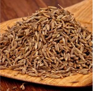 Organic Black Cumin Seeds, Color : Brown, Packaging Type : Gunny Bag