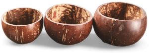 Eco Gree Plain Polished Coconut Shell Bowl Set, Color : Brown Standard