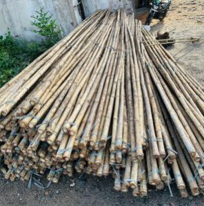 Raw Bamboo Poles