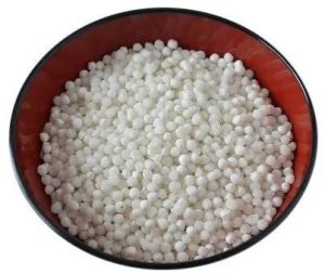 Sago Seeds, Color : White, Packaging Type : Plastic Bag For Human Consumption