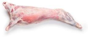Light Red Frozen Mutton Carcass, Packaging Size : 10kg, 20kg