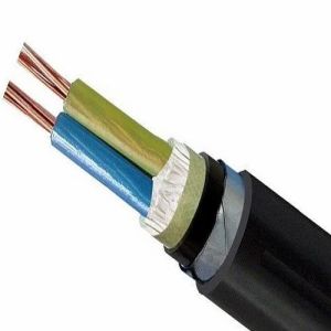 2 Core Copper PVC Armoured  Power Cables