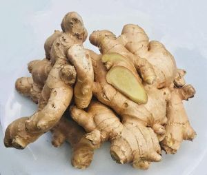 Fresh Organic Ginger