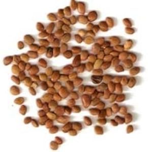 Tephrosia Purpurea Seeds