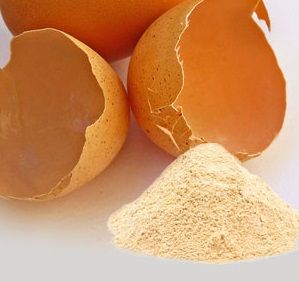 egg shell powder