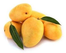 fresh mango