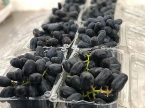 Fresh Black Grapes