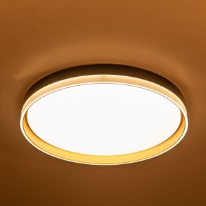 led ceiling light colour