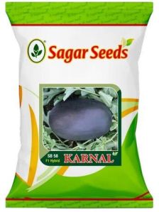 Karnal Watermelon Seeds