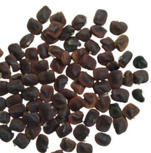 Organic aparajita seeds /clitoria ternatae (botanical name)