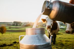 dairy farming consultancy service