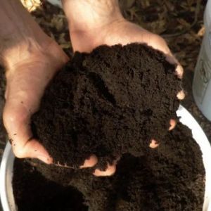 vermicompost manure