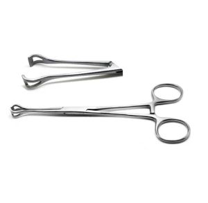 Stainless Steel 8 Inch Babcock Forceps