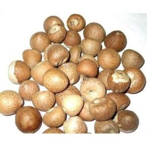 A Grade Brown Areca Nuts
