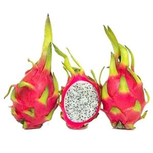 Fresh Dragon Fruit