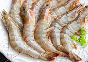 fresh big prawns