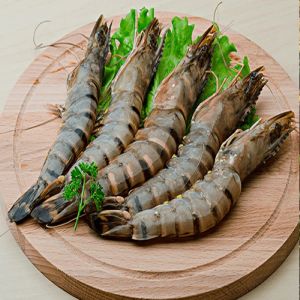 Fresh Tiger Prawns