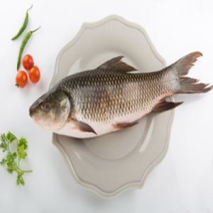 Premium Freshwater Rahu/Catla Whole Fish