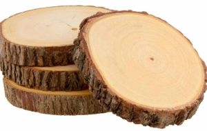 Round Wooden Log Coaster Set