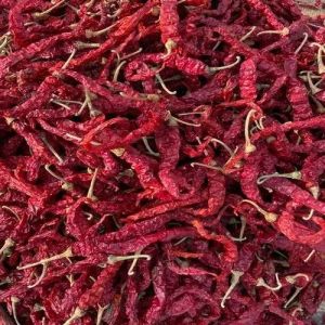 Byadgi Dry Red Chilli