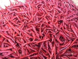 Teja Dry Red Chilli