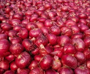 a grade onion