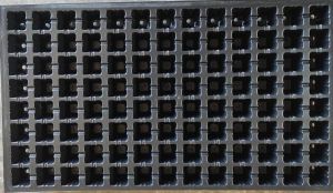 104 Cavity Pro Seedling Tray