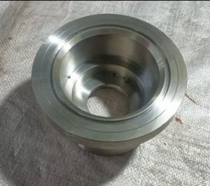 SS housing with bearing