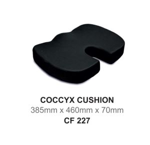 coccyx cushion seat