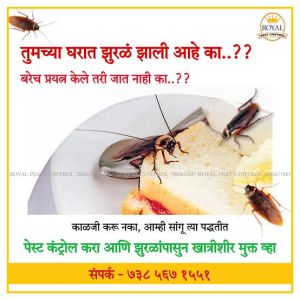 cockroach control services