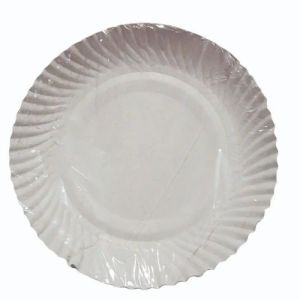 10 Inch Disposable Paper Plate