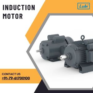 induction motor