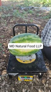 MD Watermelon