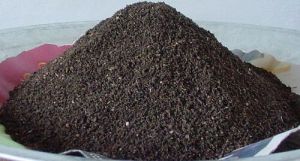 Vermicompost Fertilizer Powder