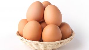 Brown Eggs