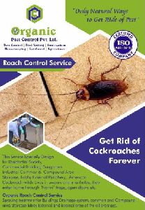 Roach Control Services