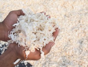 chitosan flakes