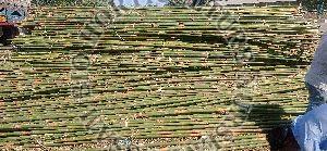 Muli bamboo pol