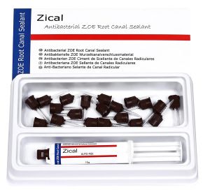 prevest zical automix paste zoe dental root canal sealant
