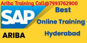 sap online training institute