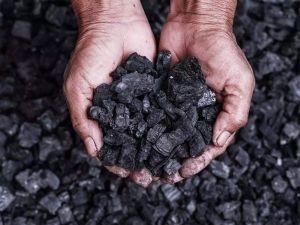 petroleum coal