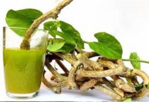 DP Ayurveda Giloy Juice