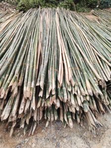 bamboo poles