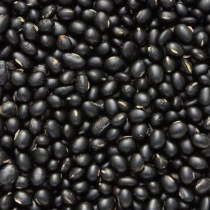 Pahadi Black Soyabean Seeds